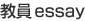 essay