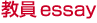 essay